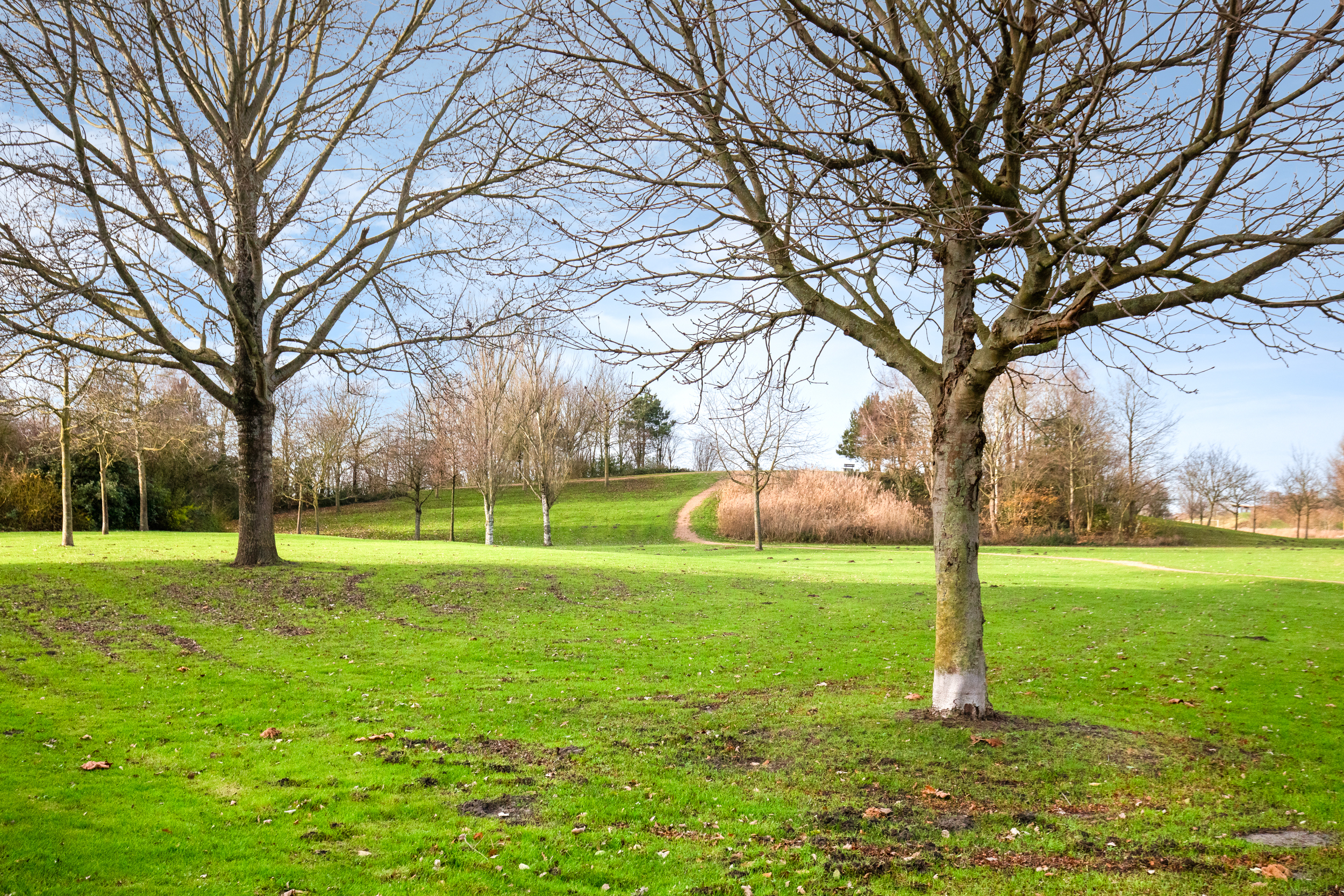 Ridderburgpark 83 , 2135 KT Hoofddorp 45